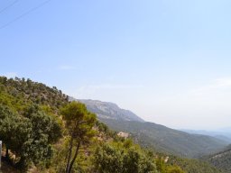 Valle de Leiva-Perdiz 2010